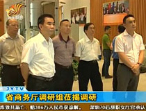 省商務(wù)廳調(diào)研組蒞揭調(diào)研