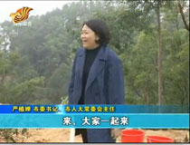 ��ֲ�ȵȵ��е����B(t��i)���x��(w��)ֲ��